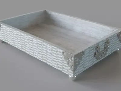Curiosities Tray Large Silver 3D model
