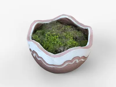 Broken Clay Planter with Moss Photorealistic 3D scan Low-poly 3D model