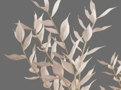 Decor branch Ruscus in a vase Set 61 3D model