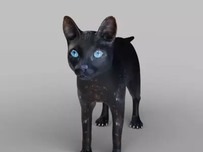 Cat Black NO Rigged in Blender  Low-poly 3D model