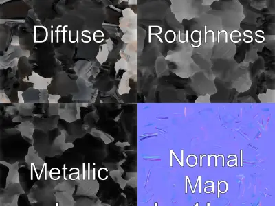 Australian Little Crow Realistic 3D Model Low-poly 3D model