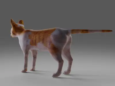 Calico Cat NO Rigged  V2 in Blender Low-poly 3D model