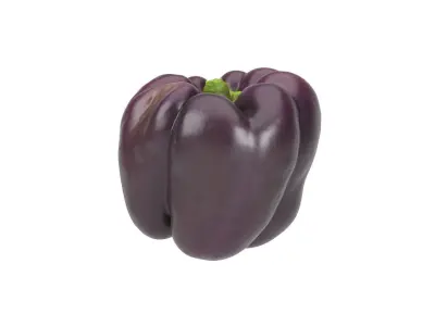 Photorealistic Tequila Bell Pepper 3D Scan 3D model