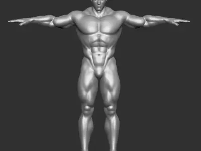 Male Template Muscle Buff Superhero Body 3D model