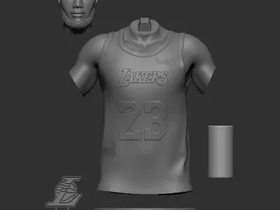 LeBron James 3D Printable 1 3D print model