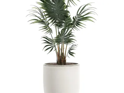 Decorative palm in a white flowerpot 519 3D model