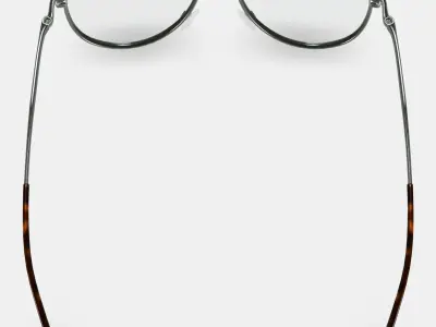 Belmar Eyeglasses in Polished Silver 3D model