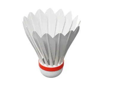Shuttle Cock 3D model