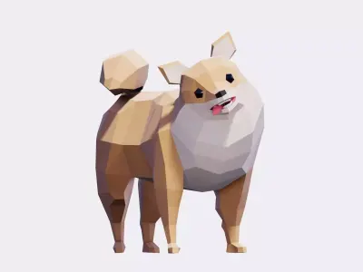 Pomeranian Dogs Low-poly 3D model