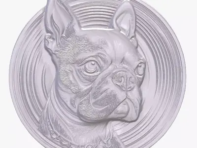 Boston Terrier 2 basrelief for 3D printing 3D print model