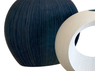 Crate and Barrel Alura Vases 3D model