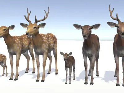 DEER FAMILY Low-poly 3D model