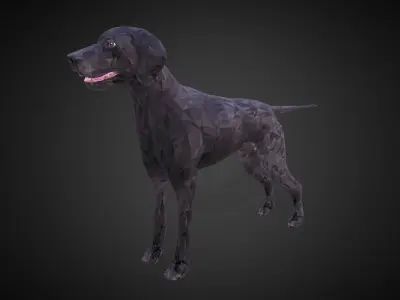 Kurtshaar Black Low Polygon Art Animal Low-poly 3D model