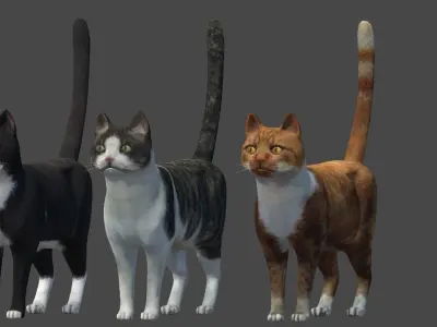 Cat lowpoly  Low-poly 3D model