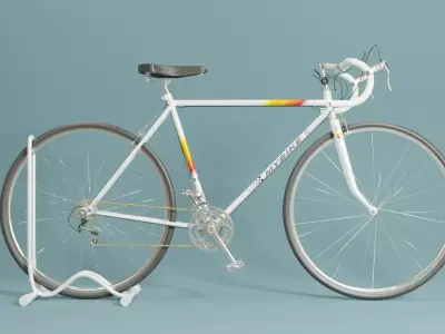 The Race Bicycle 3D model