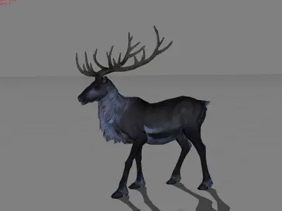 Rain Deers Animal Low-poly 3D model