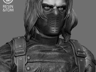 Wicked Marvel Winter Soldier Portrait Bust  3D print model