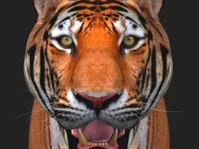 Awesome Tiger - 3d model 3D model