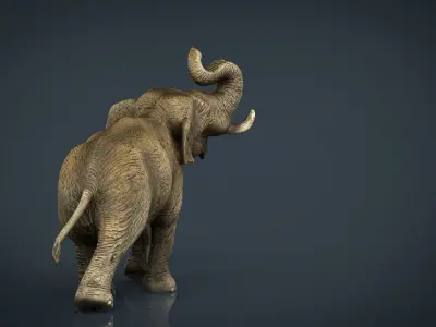 Asian Elephant Low-poly 3D model