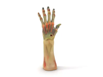 Zombie Hand Model Pack with High Detail Textures Low-poly 3D model