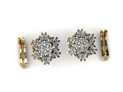 Stylish Earring for diamonds 3D print model