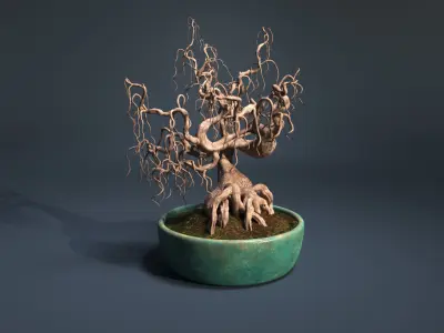 Bonsai tree in pot 3D model