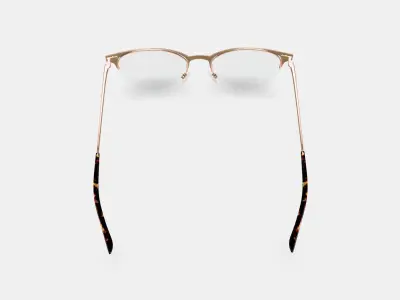 Sahana Eyeglasses in Polished Gold 3D model