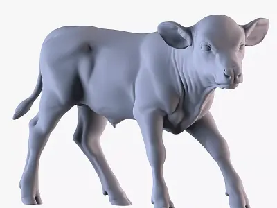 Calf Sculpture 3D print model