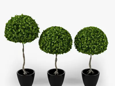 Three plants 3D model