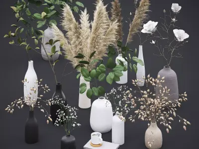 Dry Plants and Flowers Pack 3D Model Collection