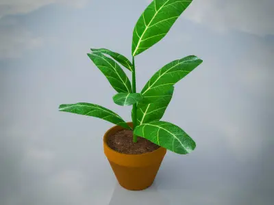Lowpoly Indoor Plants Pack Low-poly 3D model