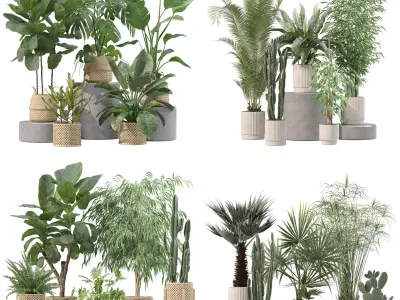 20 Photorealistic Flowers for Interiors - set 205 209 218 219 3D Model Collection