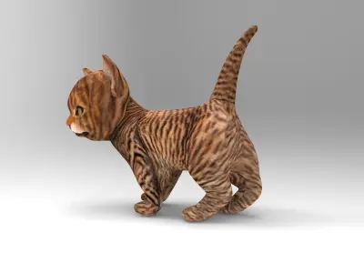Wild Cute cartoon Cat Rigged 3D  Low-poly 3D model