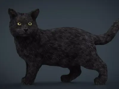 Black Cat  Low-poly 3D model