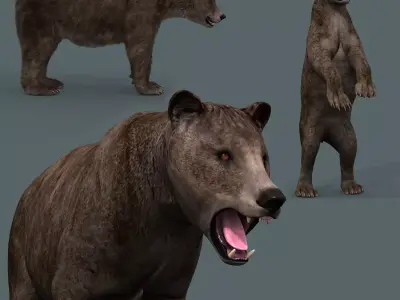 Cave Bear - 3D animated 3D model