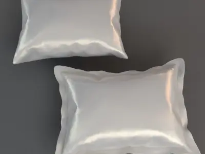 Pillows pair of shells 3D model