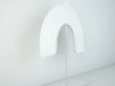 Kayapo Small Feather Headdress 3D model