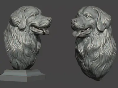 Bernese Mountain Dog 3D print model