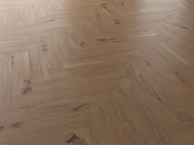  Parquet Oak Vergne Wild Wood set 4 3D model