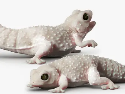 Gecko Reptile 3DS Max 3D model