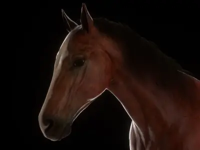 Three Horses Low-poly 3D model