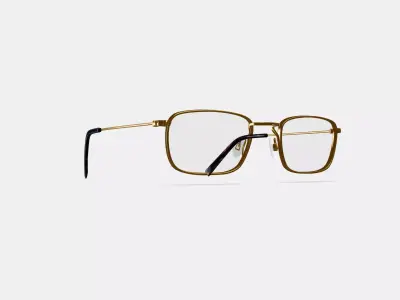 Braswell Eyeglasses in Heritage Bronze 3D model