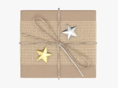 Wrapped Christmas gift 08 3D model