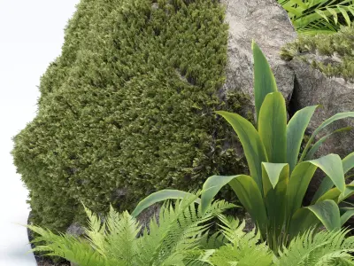 Rock and Tropical Plants 3D Model Collection Vol 297 Low-poly 3D model