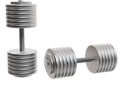 Dumbbells two metal 3D model