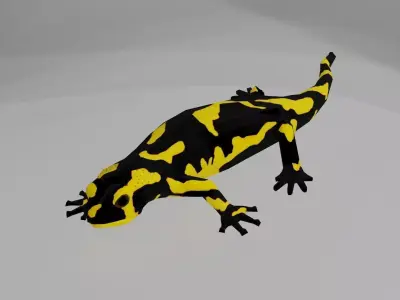 Low poly salamander lizard Low-poly 3D model