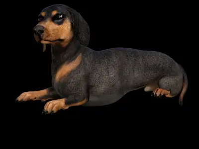 5 stand alone obj-10 3D model