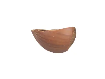Photorealistic Hazelnut Shell 3D Scan 3D model
