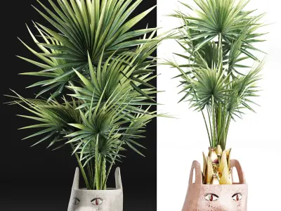 Plants Collection 198 Sabal Minor 3D model