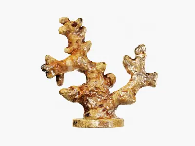 Sculptures of coral reef 02 3D model